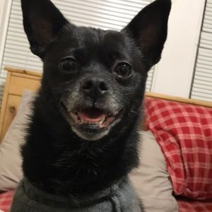 Meet your Posher, Rachel